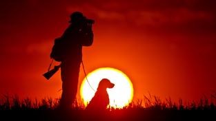 Ein Jäger steht bei Sonnenuntergang mit seinem Jagdhund auf einem Feld. (Foto: picture alliance / dpa | Patrick Pleul)