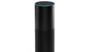 Sprachcomputer Alexa (Foto: dpa)