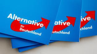 Das Logo der Alternative für Deutschland (AfD) (Foto: picture alliance / dpa | Markus Scholz)