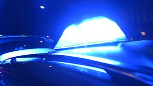 Blaulicht eines Polizeifahrzeugs bei Nacht (Foto: picture alliance / Patrick Seeger/dpa)