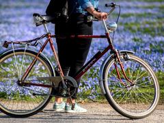 Eine junge Frau steht neben ihrem Fahrrad vor blühenden Blausternen. (Foto: picture alliance / Hauke-Christian Dittrich/dpa)