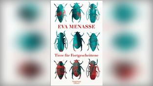 Eva Menasse - "Tiere für Fortgeschrittene" (Foto: Kiepenheuer & Witsch)