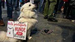 Bei der Demonstration in St. Wendel trug ein Hund ein Schild mit der satirischen Aufschrift „Weiße priviligierte Hunde gegen Rechts“. (Foto: Simin Sadeghi / SR)