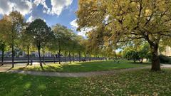 Der goldene Herbst färbt die Blätter an den Saarwiesen, Saarbrücken (Foto: Erwin Altmeier)