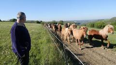 Und los geht's - die Ponys auf dem Weg zur Weide (Foto: Tobias Seeger)
