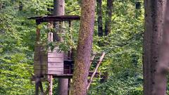 In aller Frühe ein beliebter Ort bei den Jägern, der Hochsitz (Foto: SR)