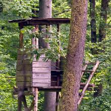 In aller Frühe ein beliebter Ort bei den Jägern, der Hochsitz (Foto: SR)