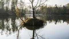 Spiegelungen im See (Foto: Jannis Pfister)