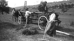 Angehörige der Familie des Fotografen Julius Walter mit Leiterwagen bei der Heuernte in den Wiesen von Fechingen, um 1904 (Foto: Julius Walter)