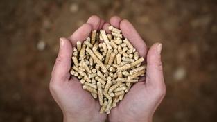 Pellets  (Foto: dpa)
