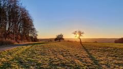 Bliesgau in Altheim mit Blick in Richtung Medelsheim (Foto: Hanna Ast)