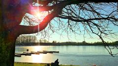 Sonnentag am Losheimer Stausee (Foto: Penny Bettendorf)