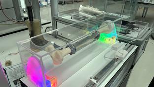 Prototyp von Forschenden der Saar-Uni eines Verfahrens zur Heilungsunterstützung von Knochenbrüchen (Foto: Lisa Marie Christl / SR)
