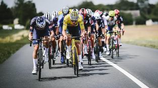 Radprofis bei der Tour de France (Foto: A.S.O./Pauline Ballett)