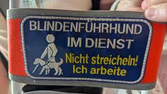 Aufschrift auf dem Blindenhund-Führgeschirr: "Nicht streicheln, ich arbeite" (Foto: SR/Christoph Borgans)