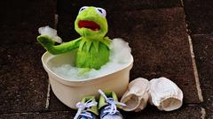 Kermit der Frosch sitzt in einer kleinen Badewanne (Foto: Pixabay/Alexas_Fotos)