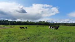 Bauernhof Nordschweden, Region Västerbotten (Foto: SR)