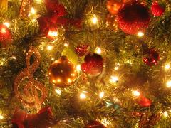 Frohe Weihnachten! (Foto: Pixabay/zjazjazoie)