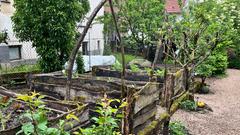 Der biblisch-christliche Garten in Niederkirchen (Foto: SR/Corinna Kern)