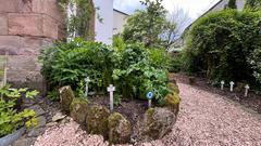 Der biblisch-christliche Garten in Niederkirchen (Foto: SR/Corinna Kern)