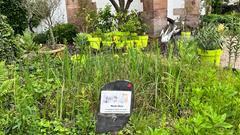 Der biblisch-christliche Garten in Niederkirchen (Foto: SR/Corinna Kern)