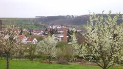 Impressionen Bliesmengen- Bolchen  (Foto: Alex Stephan)