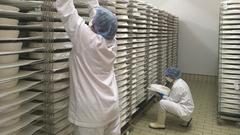 Brie de meaux in der Fromagerie Donge (Foto: SR)