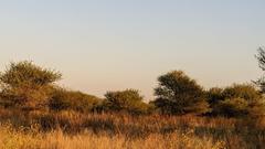 Christoph Borgans Weg zum Safari Guide (Foto: Christoph Borgans)