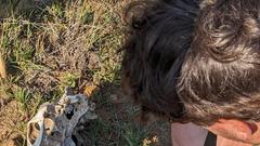 Christoph Borgans Weg zum Safari Guide (Foto: Christoph Borgans)