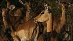 Christoph Borgans Weg zum Safari Guide (Foto: Christoph Borgans)