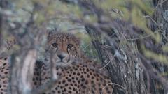 Christoph Borgans Weg zum Safari Guide (Foto: Christoph Borgans)