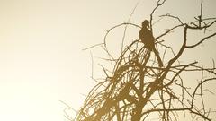 Christoph Borgans Weg zum Safari Guide (Foto: Christoph Borgans)