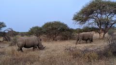 Christoph Borgans Weg zum Safari Guide (Foto: Christoph Borgans)