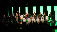 SR 3-Echt live - Revue Orchester 1920 (Foto: Dirk Guldner)