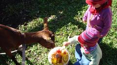 Die Kinder füttern die erste eigene Ziege (Foto: privat)