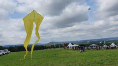 Drachenfest in Überherrn (Foto: SR / Lena Schmidtke)