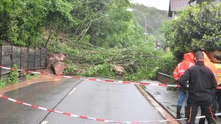 Hang- und Felsrutsch an der Heringsmühle in Fechingen (Foto: BeckerBredel)