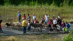 Der Start der SR 3-SommerAlm 2019 am 19. Juli (Foto: Pasquale D'Angiolillo)