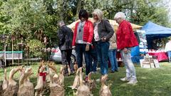 Der SR 3-Landpartie-Tag 2017 auf dem Pehlinger Hof in Gerlfangen (Foto: Dirk Guldner)