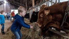 Der SR 3-Landpartie-Tag 2017 auf dem Pehlinger Hof in Gerlfangen (Foto: Dirk Guldner)