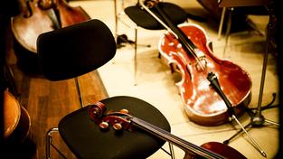 Cello/Streicher (Foto: DRP/Dirk Meyer)