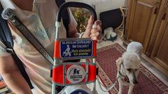 Das Blindenhund Führgeschirr (Foto: SR/Christoph Borgans)