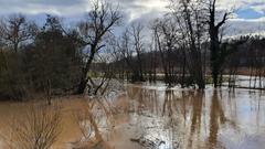 Hochwasser an der Blies (Foto: SR/Lena Schmidtke)