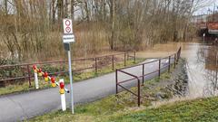 Hochwasser an der Blies (Foto: SR/Lena Schmidtke)