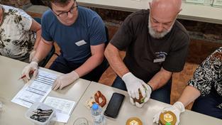 Prüfer des Landesverbands Saarländischer Imker bei der Honig-Prüfung (Foto: SR/Christoph Borgans)
