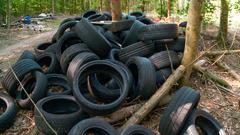 Immer wieder wird Müll illegal im Wald abgelegt (Foto: SR)