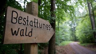 Wegweiser zu einem Bestattungswald (Foto: IMAGO / CHROMORANGE)