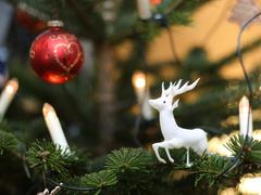 Ein geschmückter Weihnachtsbaum (Foto: IMAGO / Karina Hessland)