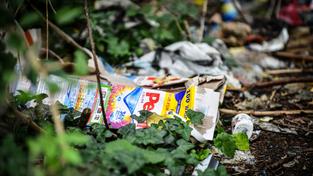 Verschiedener Haushaltsmüll würde in einem Gebüsch entsorgt (Foto: IMAGO / Funke Foto Services)