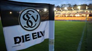 Fahne im Stadion mit dem Logo der SV Elversberg (Foto: IMAGO / Fussball-News Saarland)